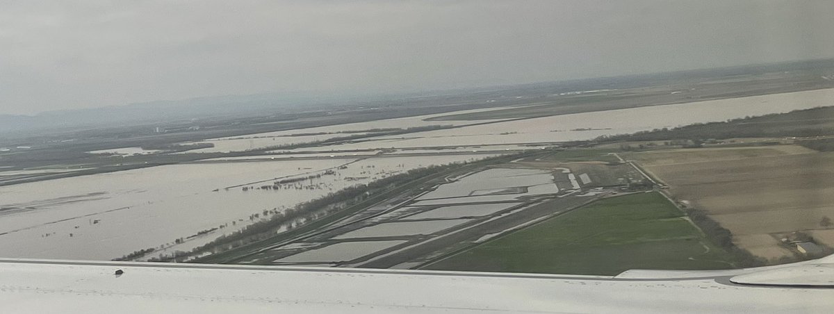 Wade Crowfoot tweet media