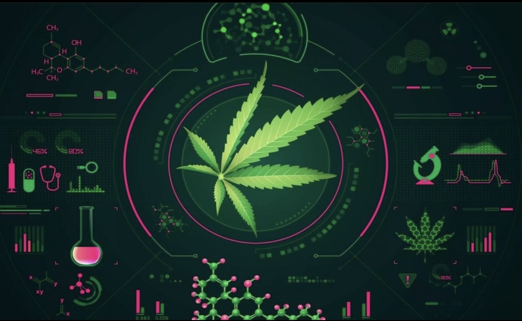 SanteNatRelax's tweet photo. Le cannabidiol (CBD) est une substance non dangereuse, non toxique et non psychoactive.
.
repost @lafermeducbd
.
.
.
.
#cbd #lafermeducbd #chanvre #fleursdecbd #huiledecbd #cbdfrance #cannabidiol #santéetcbd #santé #cannabislegal #cbdetmedicaments https://t.co/wFUlu6ZU54