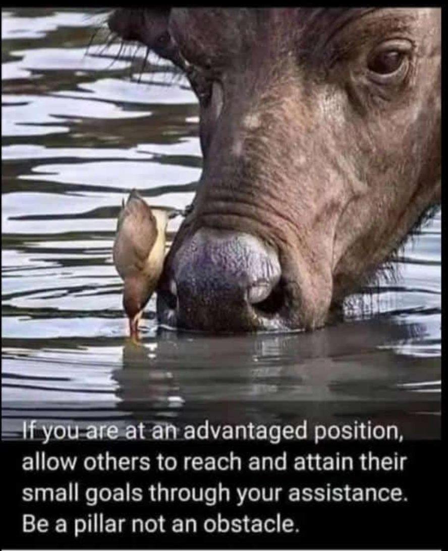 Ebrima Jatta (@ebrimaj15041565) on Twitter photo 