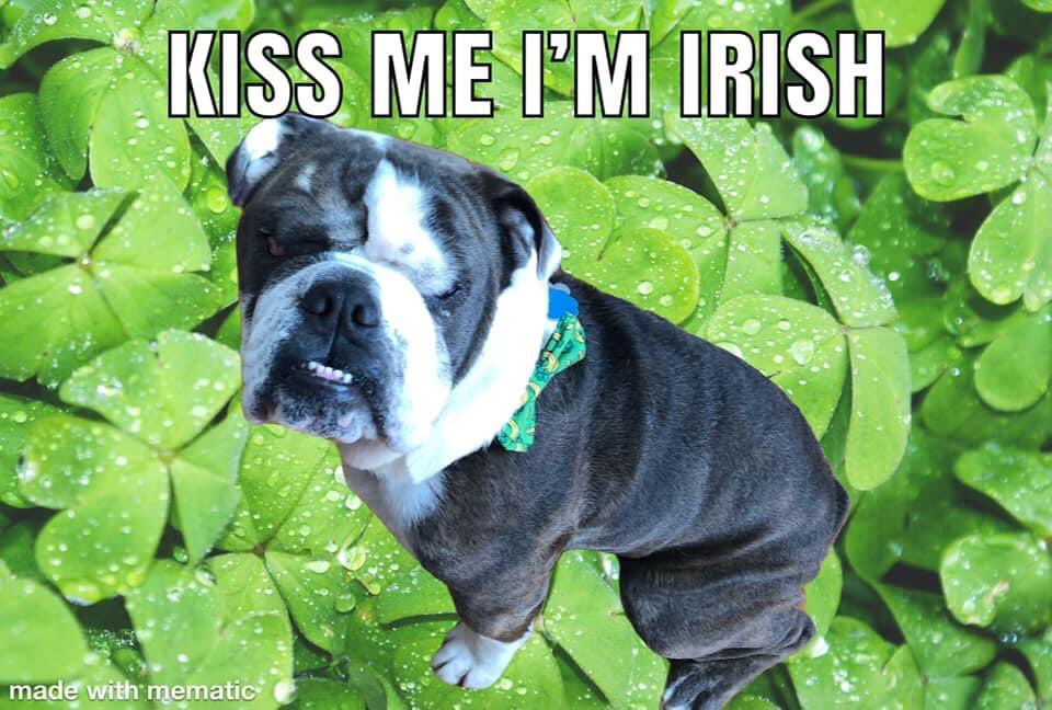 #HappySt.Patrick’sDay ☘️