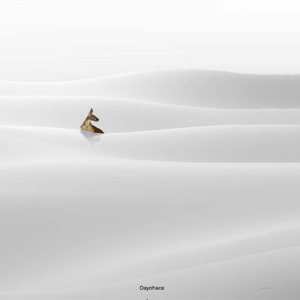 Day 40/1000

SNOW WHITE KANGAROO 
#1000daysartchallenge