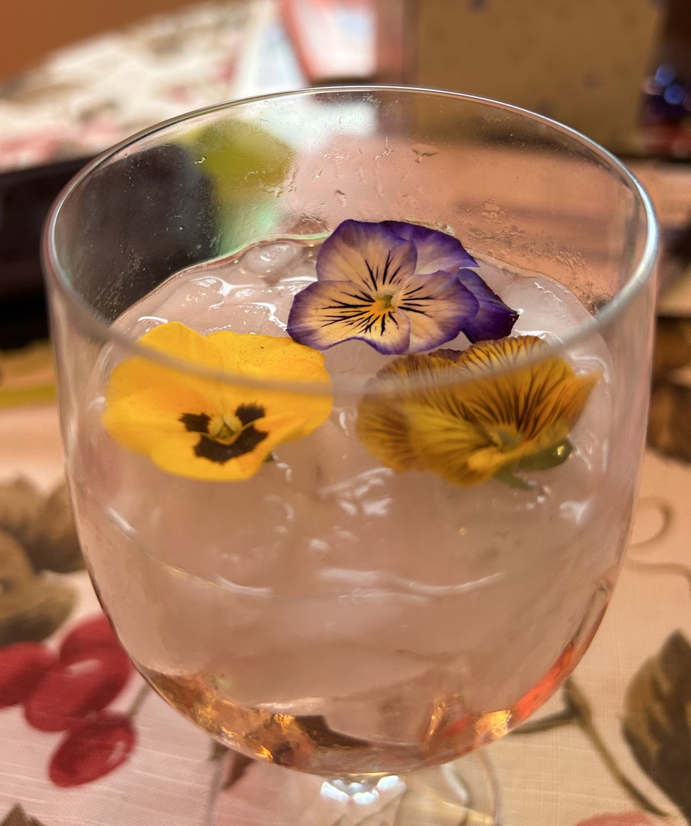 Edible flowers can really class up a drink😃🌸🌺🥂🍷🍹

#EdibleFlowers #Gardening #Flowers