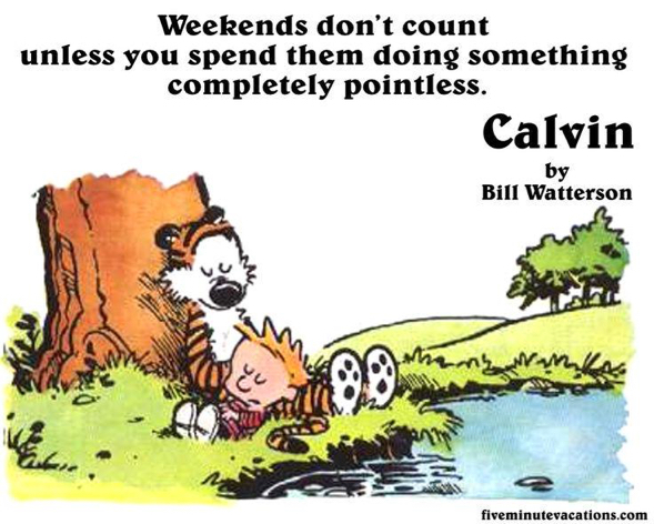 What are your plans this weekend? 😴 #CalvinandHobbes