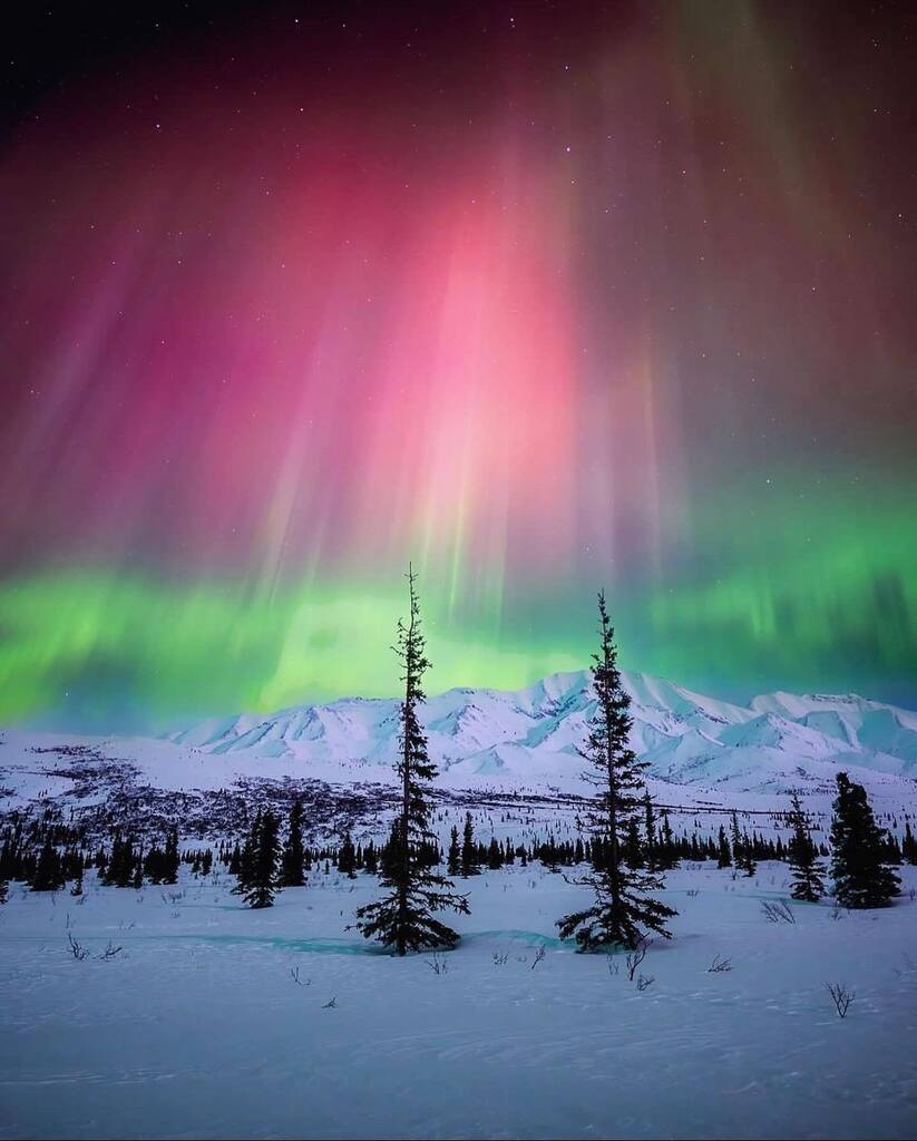 Northern lights over the Alaska Range inside Denali National Park❤️‍🔥 . . 📸 @allanlongphotography . . #explorefairbanks #alaska #fairbanksalaska #fairbanks #arcticalaska #north #travel #denali #denalinationalpark #mountains #northernlightsphotos #northe… instagr.am/p/Cp6Dj0lPNM0/