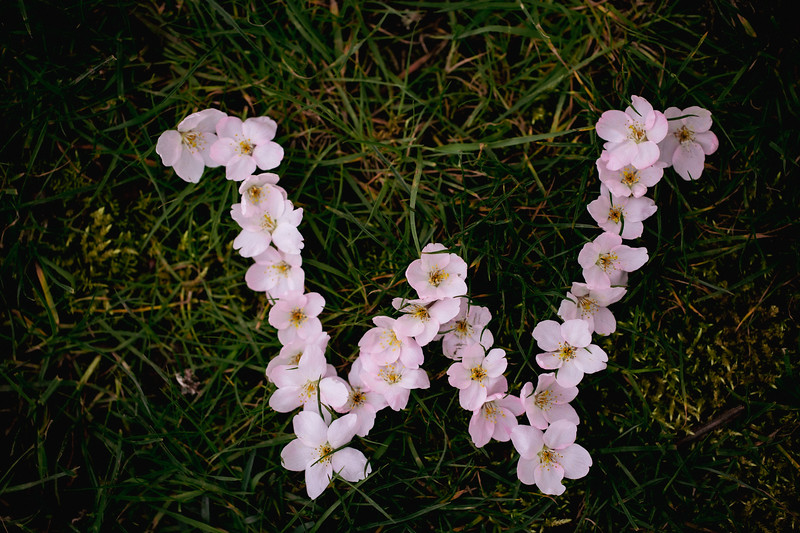 University of Washington tweet media