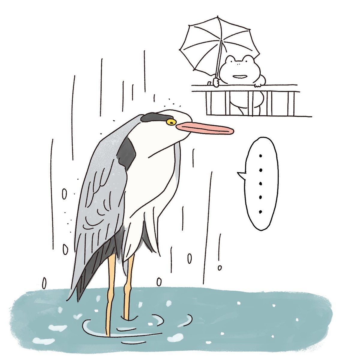 #アオサギ　#野鳥 
朝散歩にいくと、アオサギが一人で、肩をすくめて微動だにせず、雨に打たれ川の中で突っ立っていました。まあアオサギはいつみてもそうなのですが😁✨そのユニークな姿と表情にハマる鳥さんです。 https://t.co/hDft1cjV59