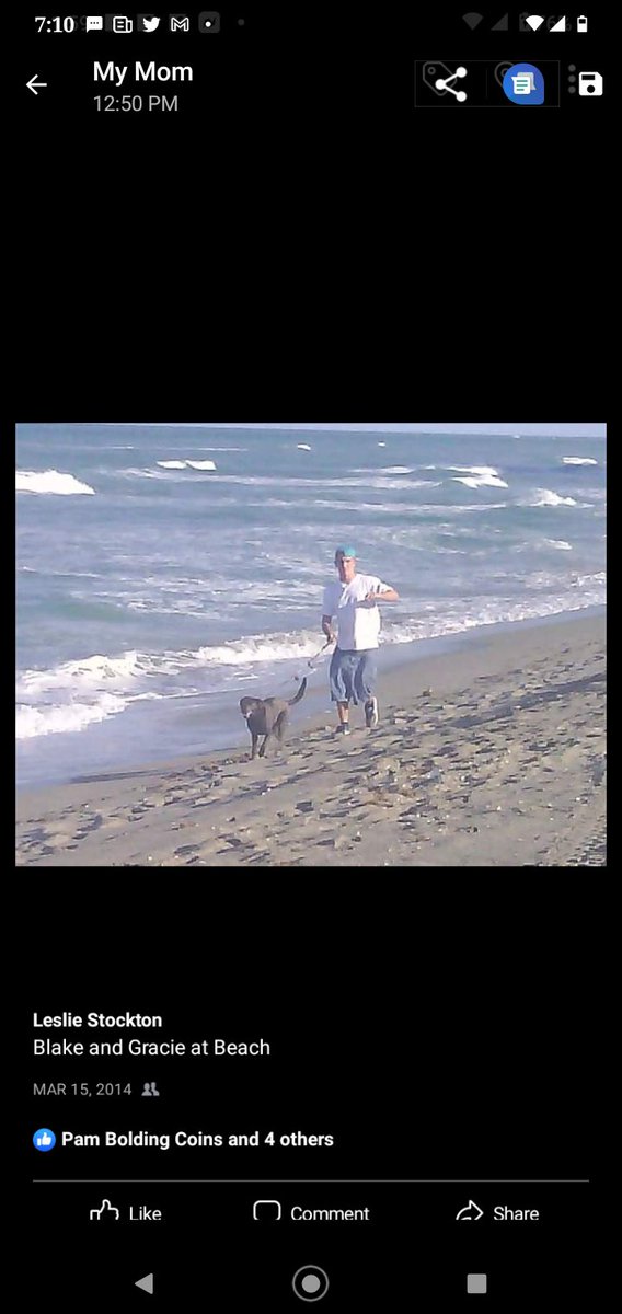 R.i.p gracy grey forever in my heart with love your truly blake