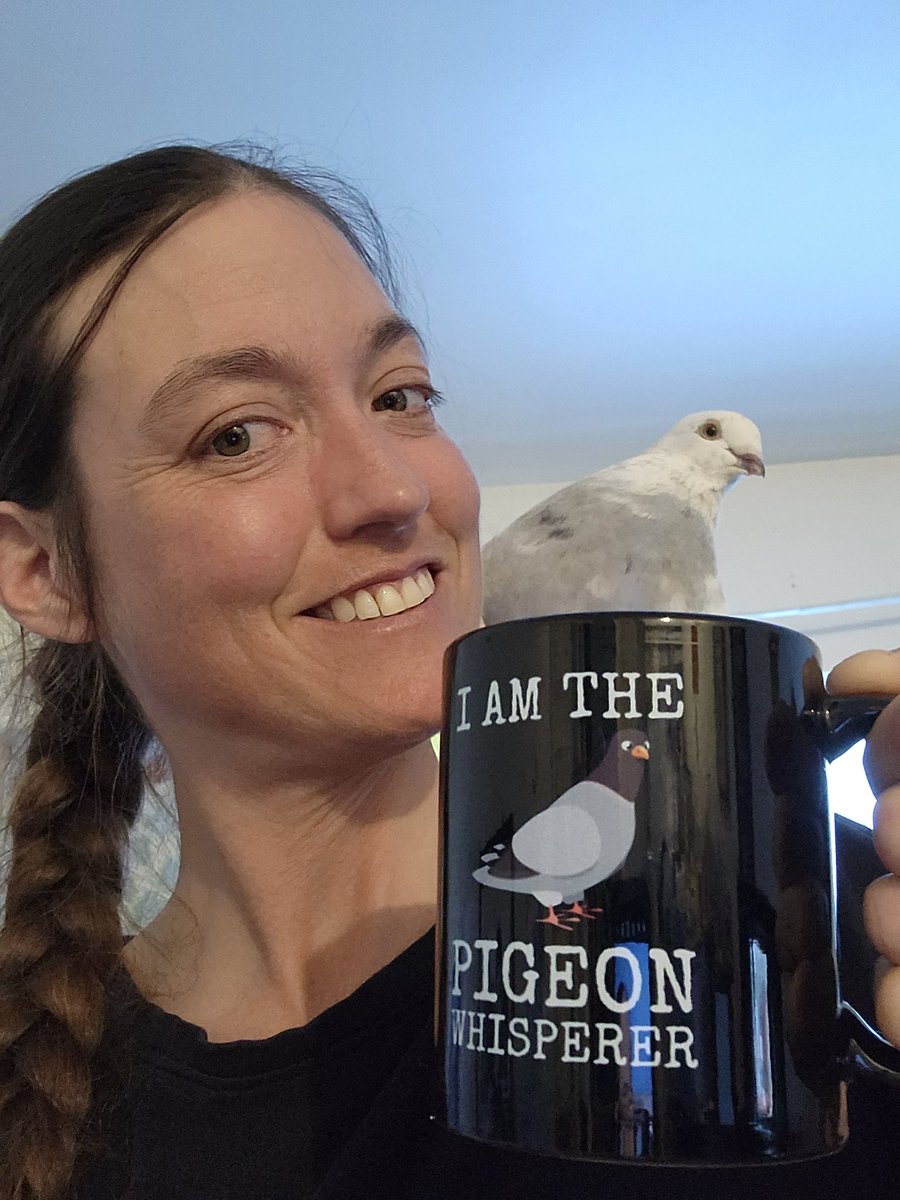 A sweet cup of pidge. 
#newmug
#pigeon 
#LittleCloud