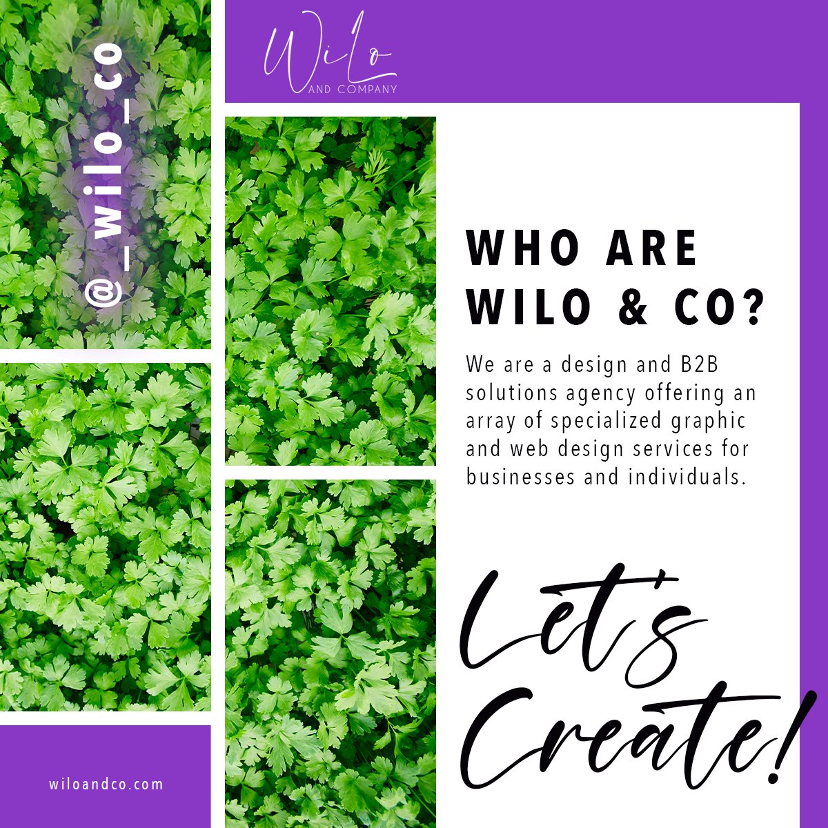 We understand that your brand is EVERYTHING! Whether creating something new or expanding your current brand, our designers are ready to help you get started and create a lasting impression. #WiLoandCo #brandidentification #branding #b2b #design #webdesign #business #b2bsolutions