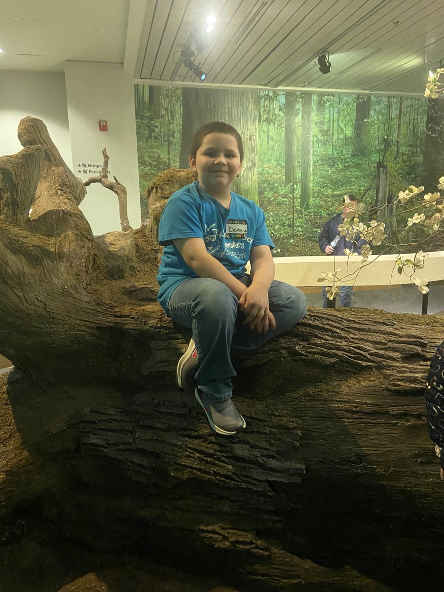 msrichardfirst's tweet photo. Fun filled week! From visiting @naturalsciences museum to learning about carnival and making masks.  @Kingswoodbuzz https://t.co/7btxdlpDxT