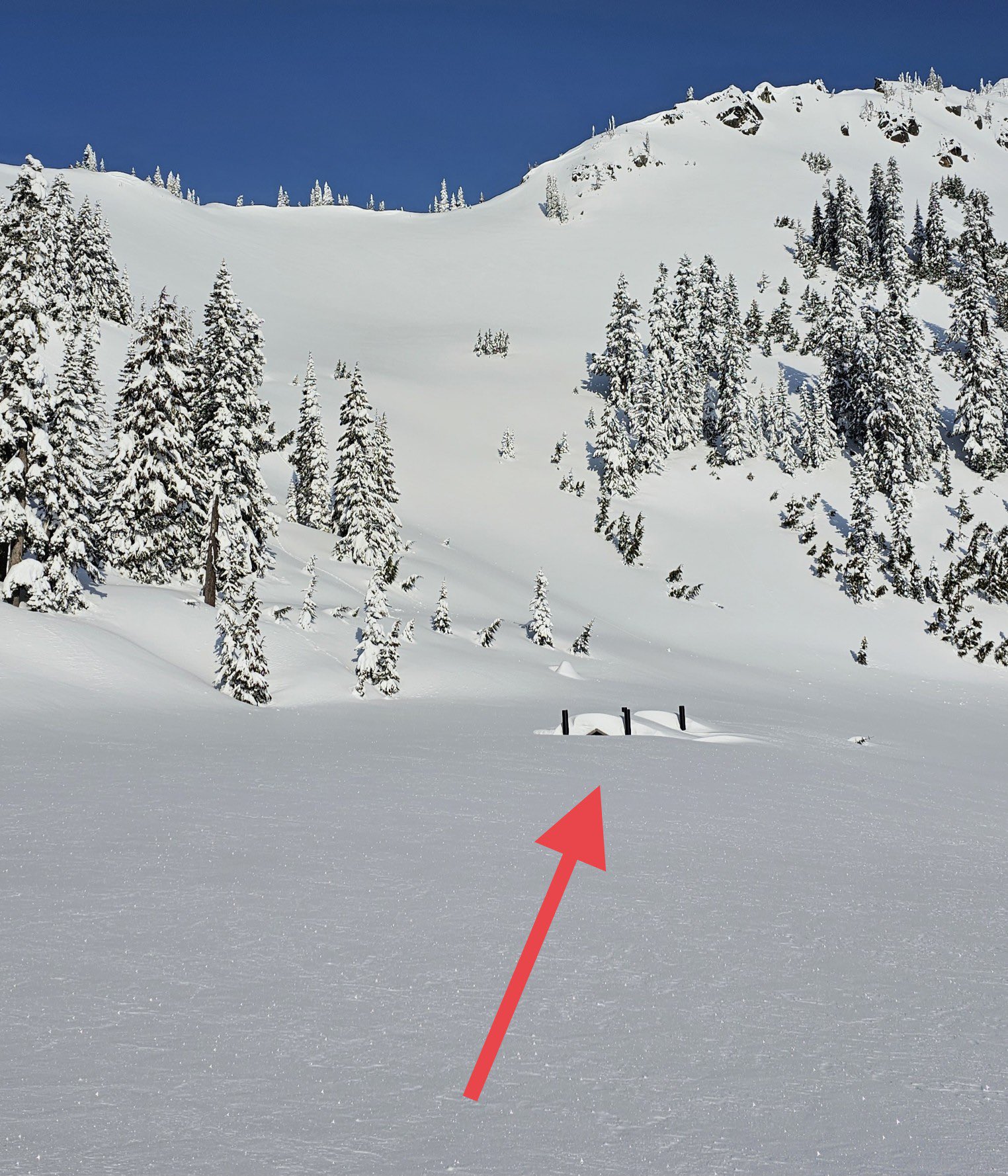 Snoqualmie Pass on Twitter "Recognize this? Avalanche crews were up on