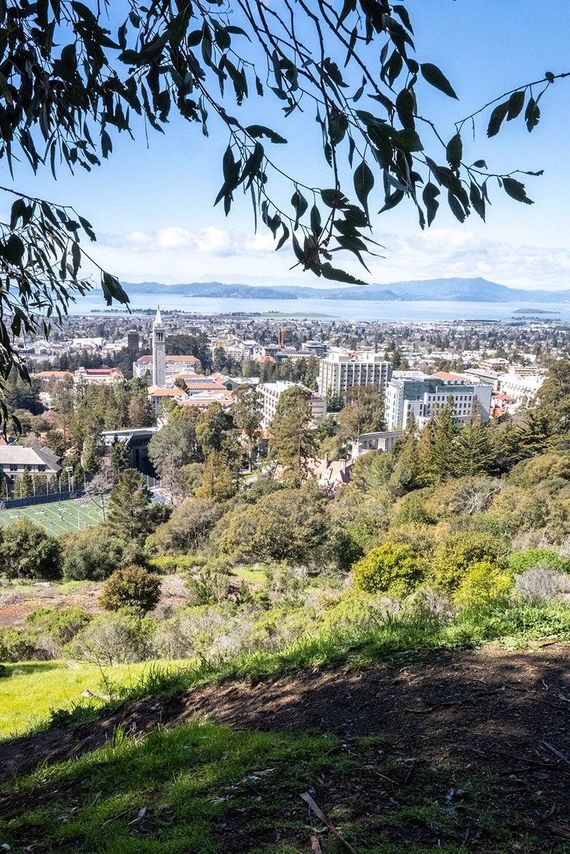 View from the Big C University of California, Berkeley March 16, 2023 #GoBears