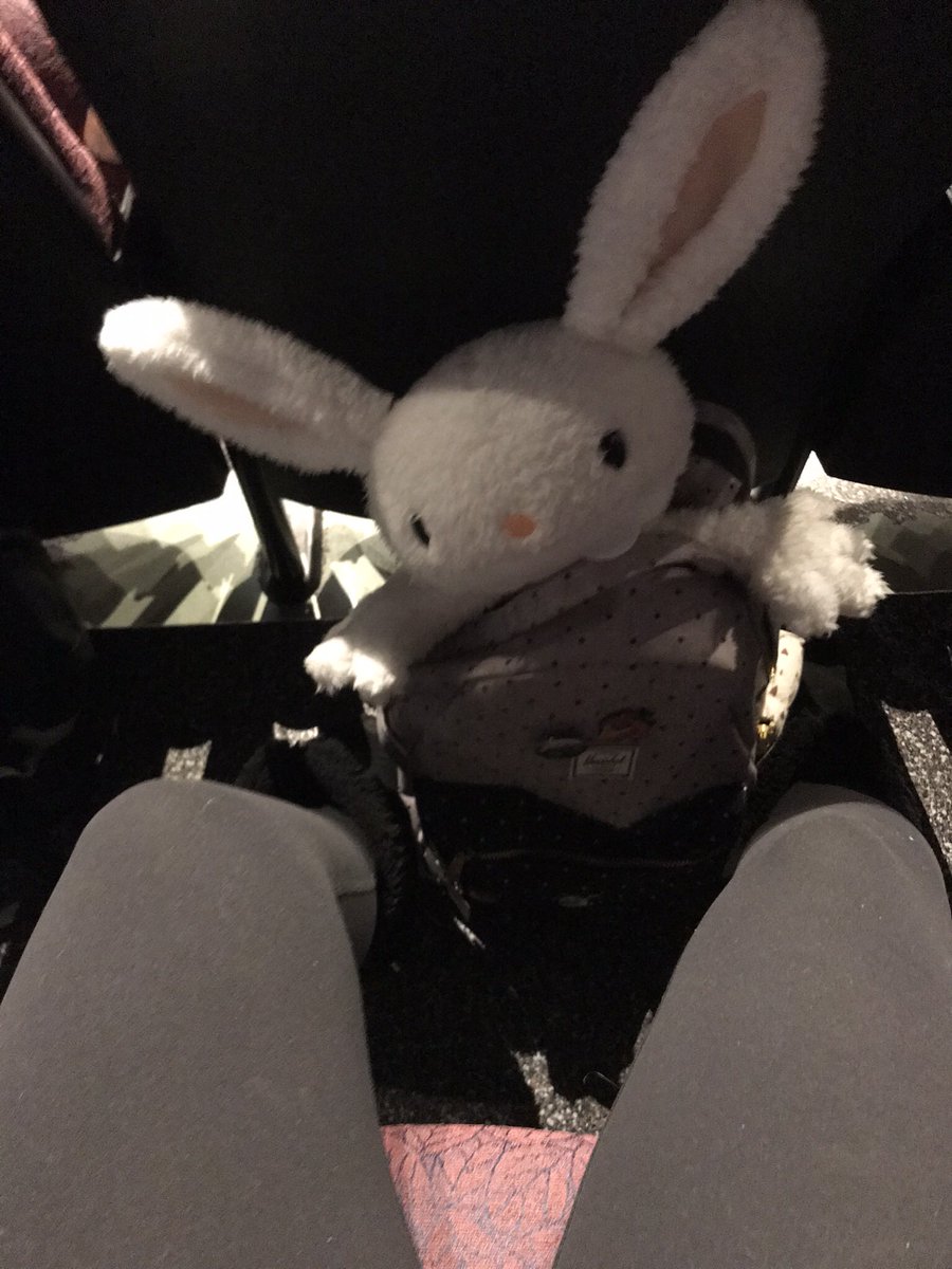 AM_or_FM's tweet photo. @irIyakko My Max plush is here to tell you everything will be okay ☺️ https://t.co/pJmVotG3gC