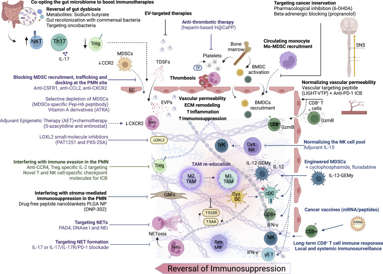 Cancer_Cell's tweet photo. Immune determinants of the pre-metastatic niche https://t.co/bK5SCsHbSl https://t.co/c29psu4f5u