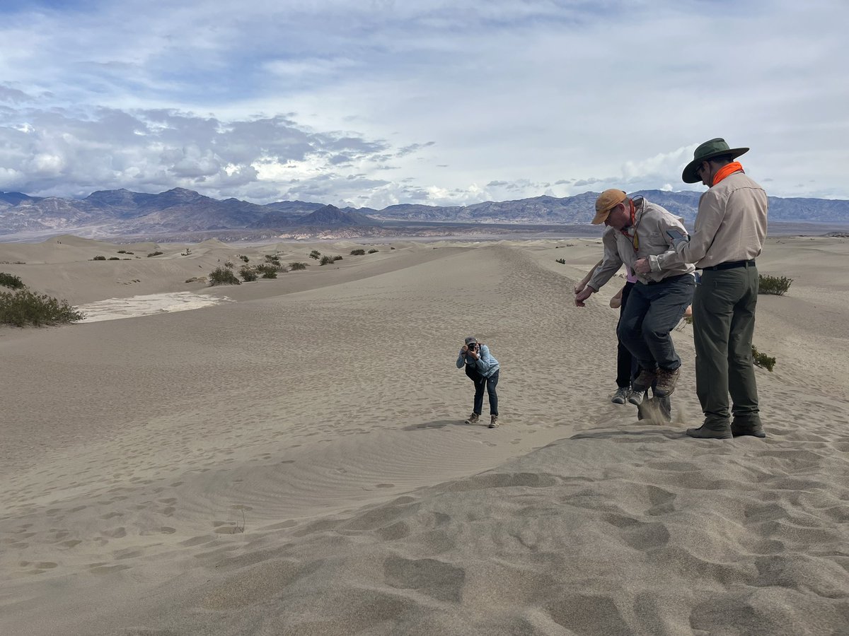 Lorelei Curtin tweet media