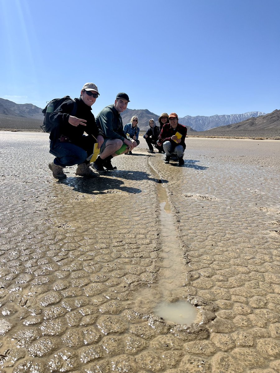 Lorelei Curtin tweet media