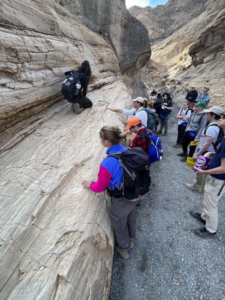 Lorelei Curtin tweet media