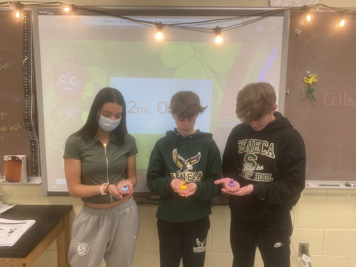 sciwithmrse's tweet photo. Our “Lucky” duck winners from today’s  escape room. https://t.co/lT6X9JmoW6