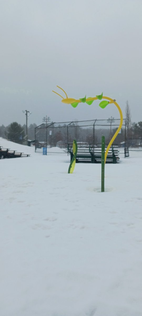 biosunu's tweet photo. Will it rain? Will it snow?
Hmm...splashpad! 
Snuggled the dog halfway
 poor thing https://t.co/A8b94oVi8Y