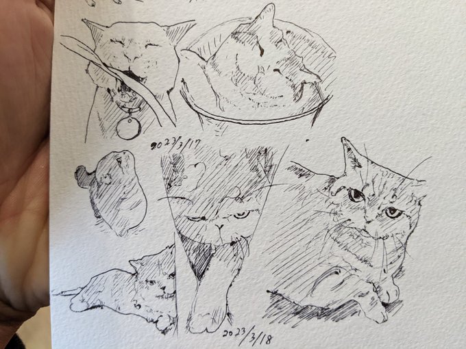 昨日と今日の分 毎日カキカキ。していたらこういう日もあるのだわい カキカキ。 