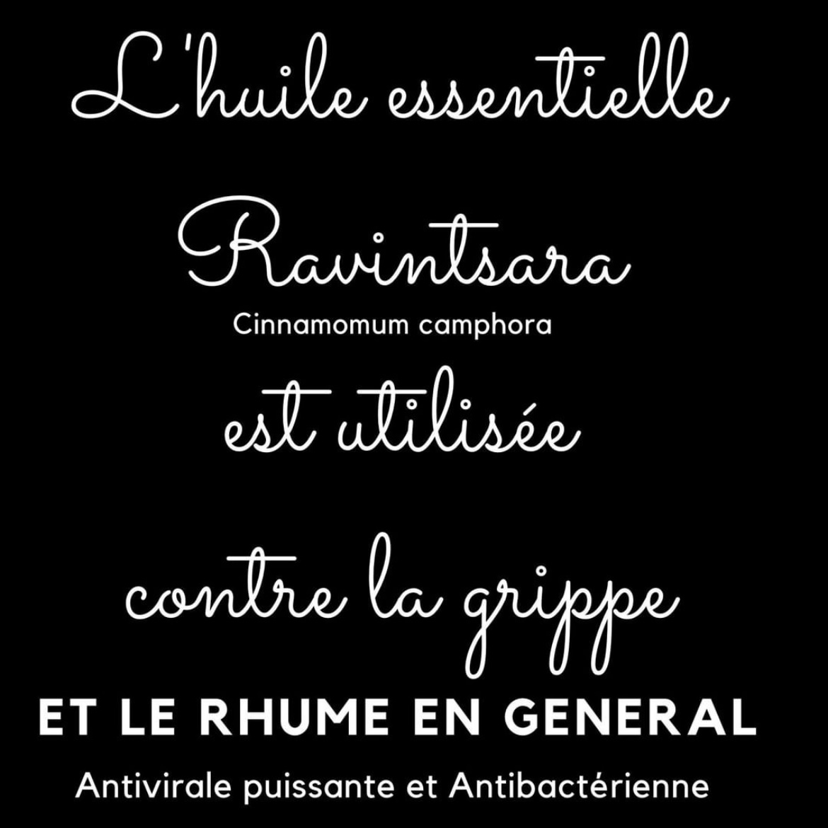 SanteNatRelax's tweet image. L’ Huile essentielle Ravintsara (Cinnamomum camphora) est utilisée contre la grippe et le rhume en general.
.
.
.
#he #huileessentielle #ravintsara #cinnamomun #cinnamomuncamphora #rhume #grippe #naturopathie  #rhume  #santenaturelle   #aromatherapie #medecinedouce #phytothérapie