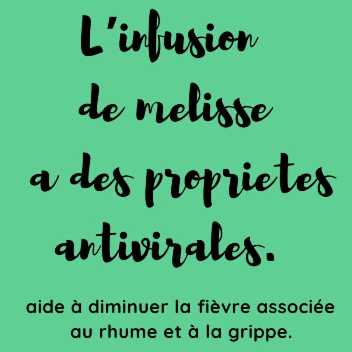 SanteNatRelax's tweet image. L’infusion de Mélisse a des propriétés antivirales. Elle aide à diminuer la fièvre associée au rhume et à la grippe.
.
.
#infusion #melisse #virus #antivirale #fievre #rhume #gripe #santenaturelle #hygienedevie #alimentationsaine #naturopathie #medecinedouce #phytothérapie #santé