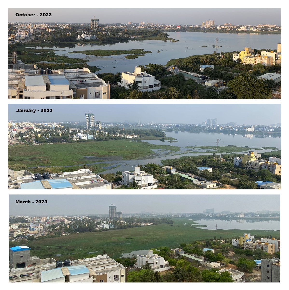 snsinghmuz's tweet photo. Yele Mallapa Shetty Lake, K. R. Puram, Banglore. Sad to see the deterioration of a largest lake in Bangalore. https://t.co/zDZKQK2ANm