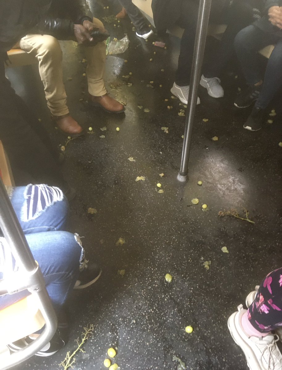 hutchjazz's tweet photo. Had a perfectly normal ride on the Q train today
#mta #grapetrain @NYCTSubway https://t.co/lomXXWuoH3