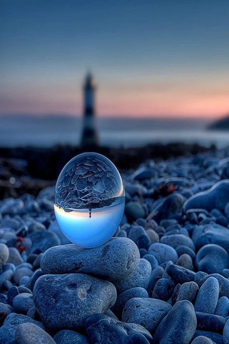 Semidiepie’s pics and videos