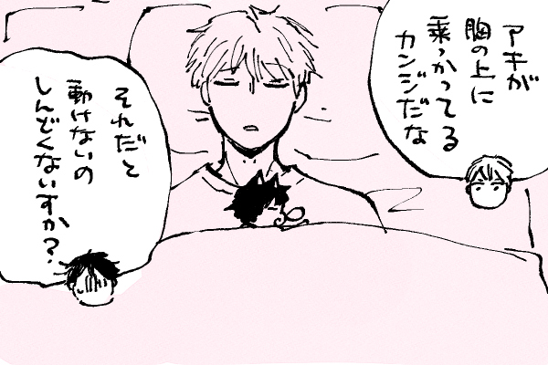 🐱キラキラにゃんこ生活
聞き方を間違ってはいない😂 