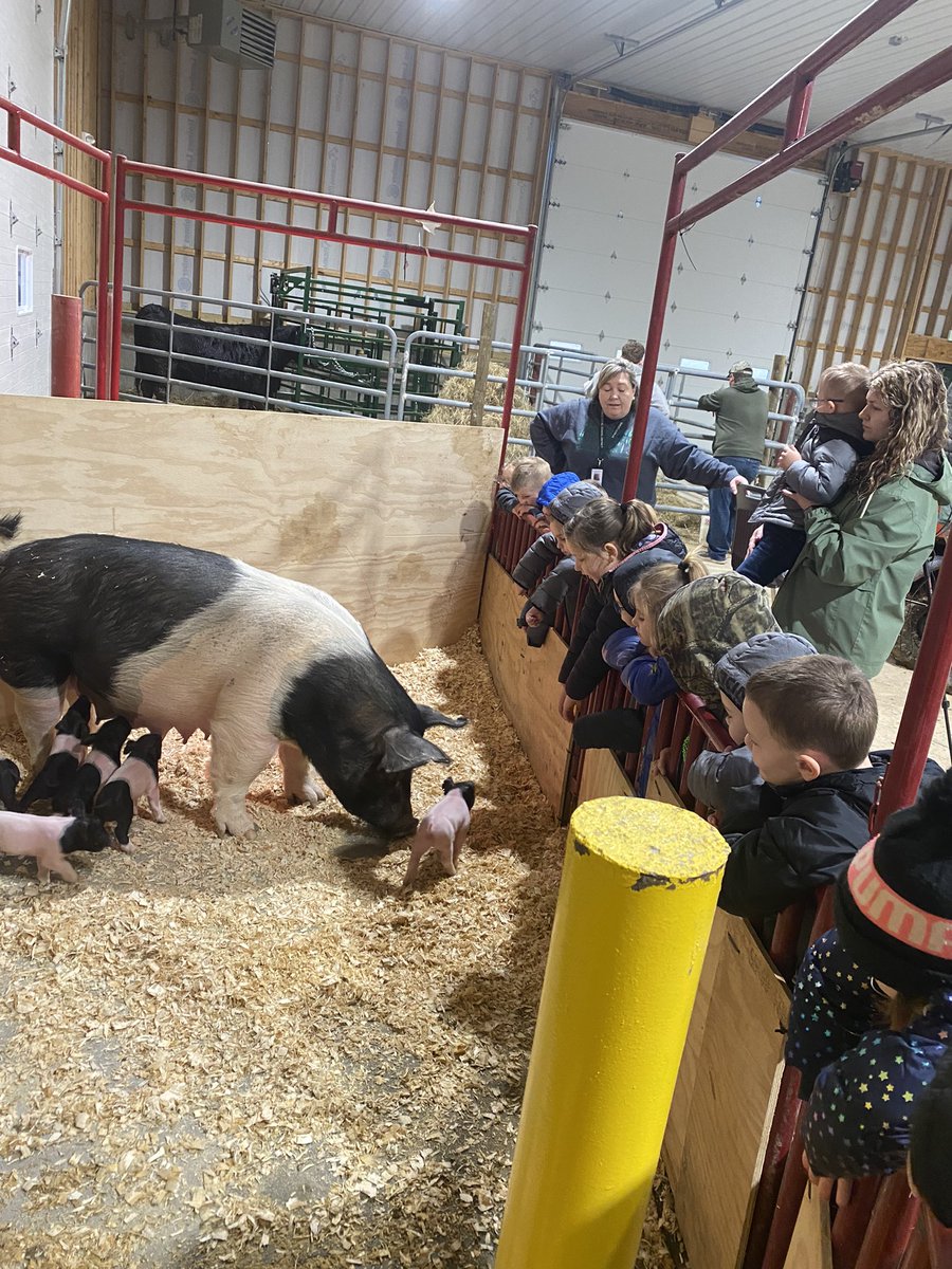 wwamiley5's tweet photo. Our PreK-Readiness class had a fun time in the barn today on campus @NobleLocal_SD . We are so Blessed to be Zeps. Thank you Shenandoah FFA teachers and students. You all Rock! @llalyssashea @Lowe_Crew5  @JDenius @MattWentworth7 @EricVanFleet @ShenandoahK8 https://t.co/3gf98raVKk