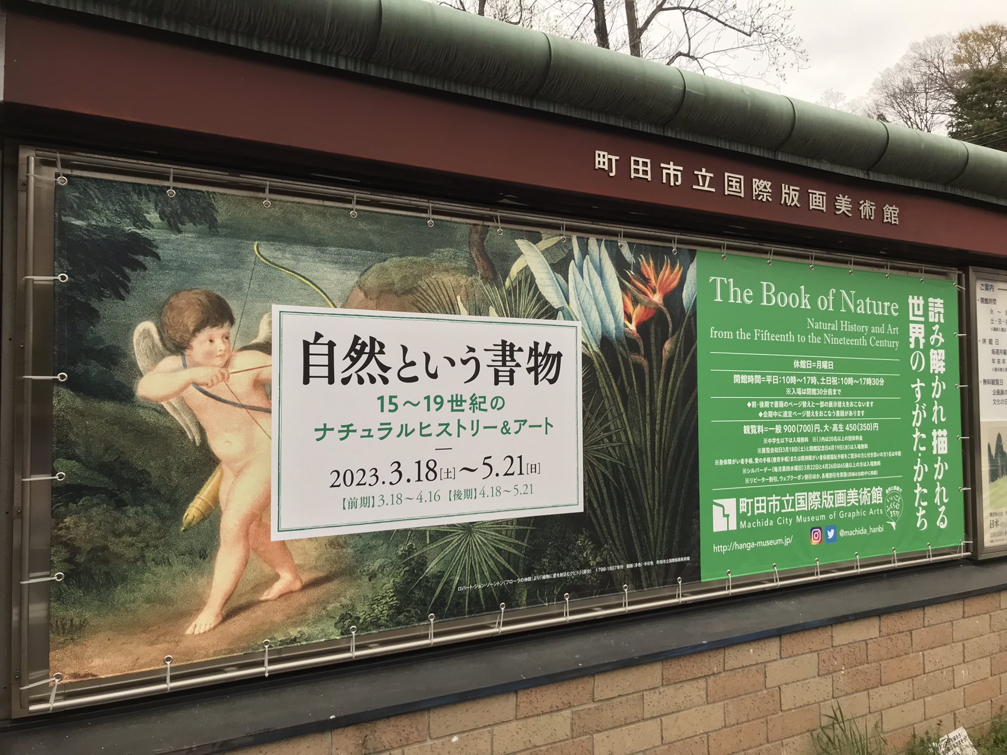 うみねこ博物堂 （たいっつー始めました） on Twitter: 