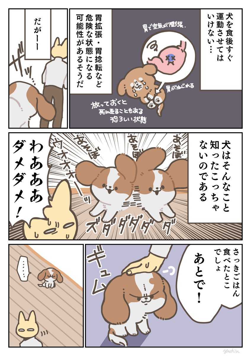 犬日記 人のこころ犬知らず 