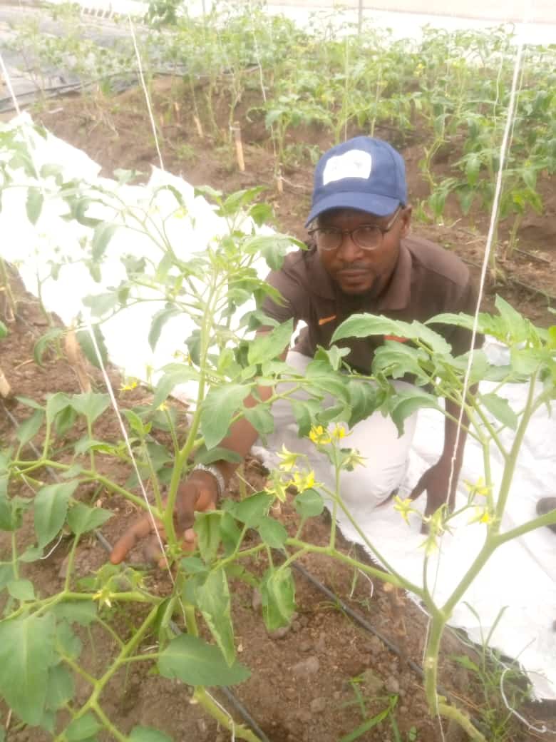 Every time is a planting season in greenhouse...
#greenhousefarming
#Training
#ARMTI