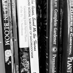 Photo by Queer As Cat (@queerascat)