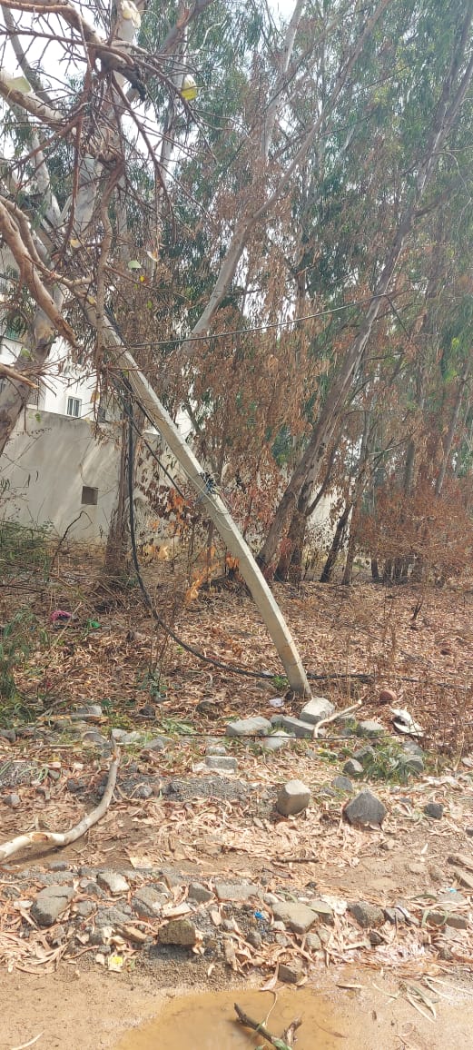 A huge tree has fallen on BESCOM lines and 5 poles are broken near Panathur lake. Power supply restoration work is under progress.
