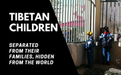 zeng_wuhan's tweet photo. We were made to hate our heritage, our elders, even our parents by our teachers in Xi Jinping's schools We felt ashamed of our cultural background" We have to get out of these concentration camps #ProtectTibetsChildren #SaveTibetsChildren https://t.co/7inols33M6
