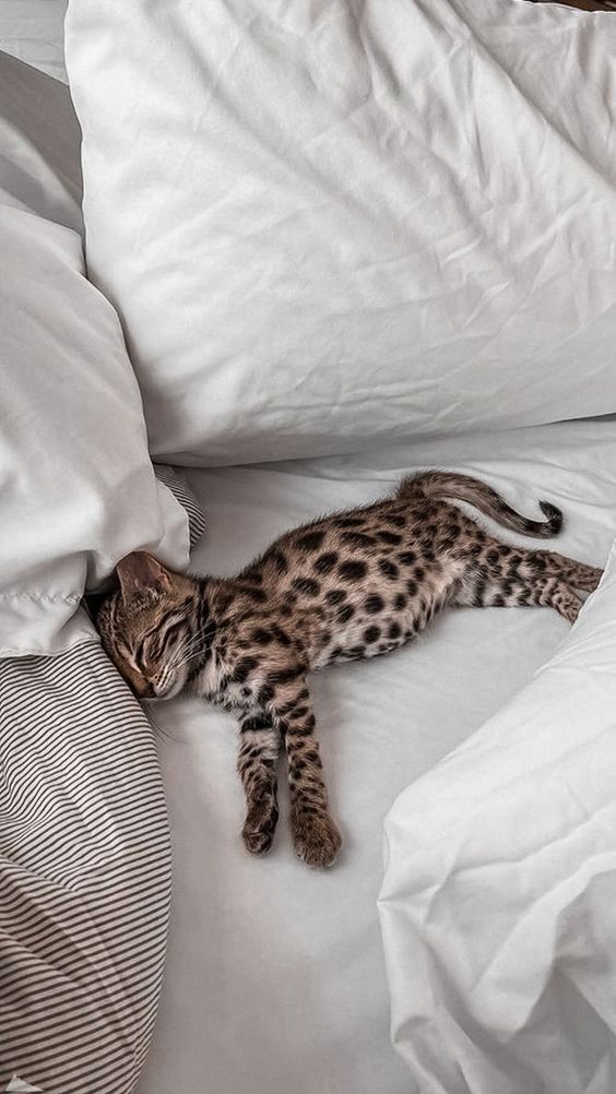 ダニエル (@hereisaesthetic) on Twitter photo 