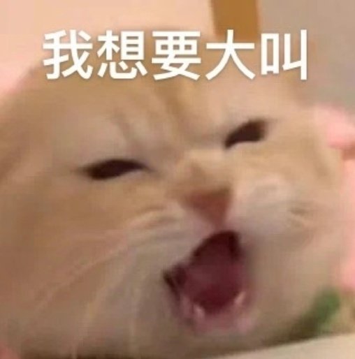 yingying2409's tweet photo. @xiy90885990 @ptrli008 总之就是一整个超级无敌巨无霸可爱住了 https://t.co/9vomXb8sHi