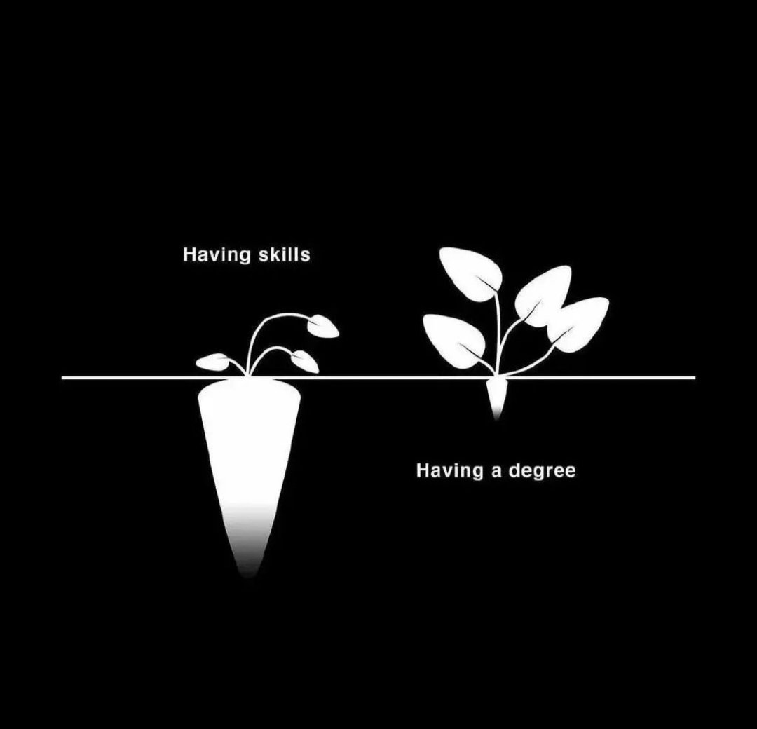 Dev_Goswami_21's tweet photo. What's your opinion???

.
.
.
.
#Twitter #business #Entrepreneur #degre #skills #selfeducation #education #Jobs #9to5 https://t.co/5oQSkGTfOT