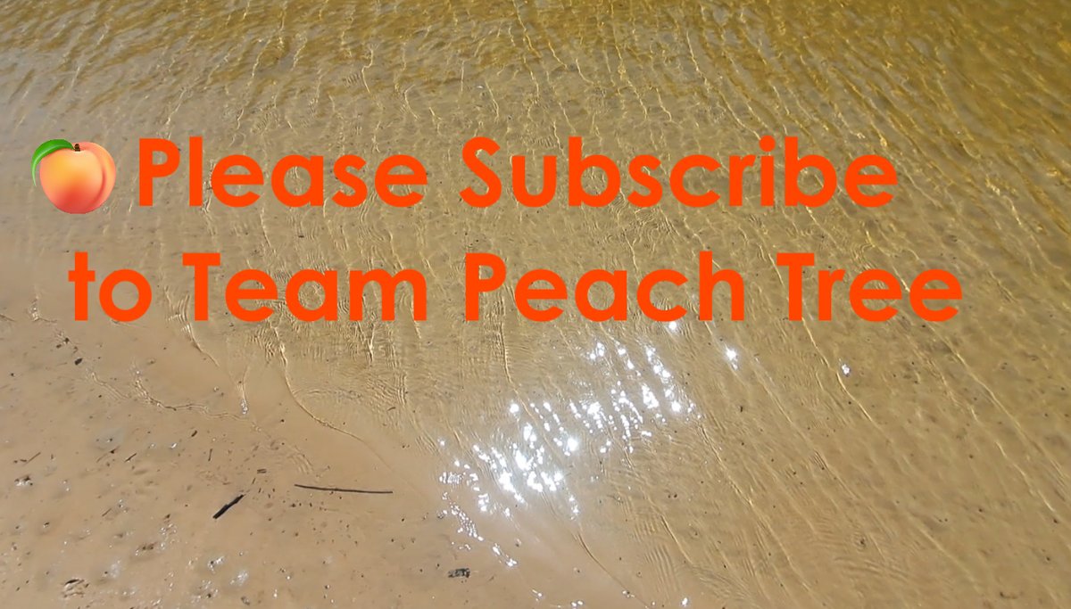 CrimeRocket's tweet photo. Interested in travel, photography, art and inspiration?
Please subscribe to my new Team Peach Tree channel on YouTube. Link below. #KeepWeaving
https://t.co/rpxejTtbZs https://t.co/LjZd8PMRw7