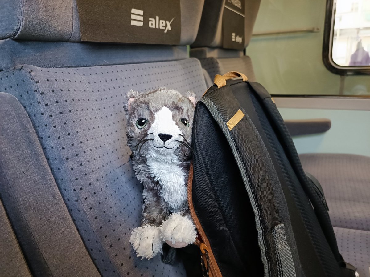 DerMautz's tweet photo. Guten Miarugen 🐈 https://t.co/9oH73vHaZg