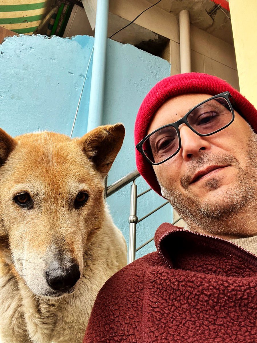 bobbydevito's tweet photo. Old stray dogs and the Buddha are the best friends I have 🙏 #becausedogs https://t.co/LKMbv0Xi06