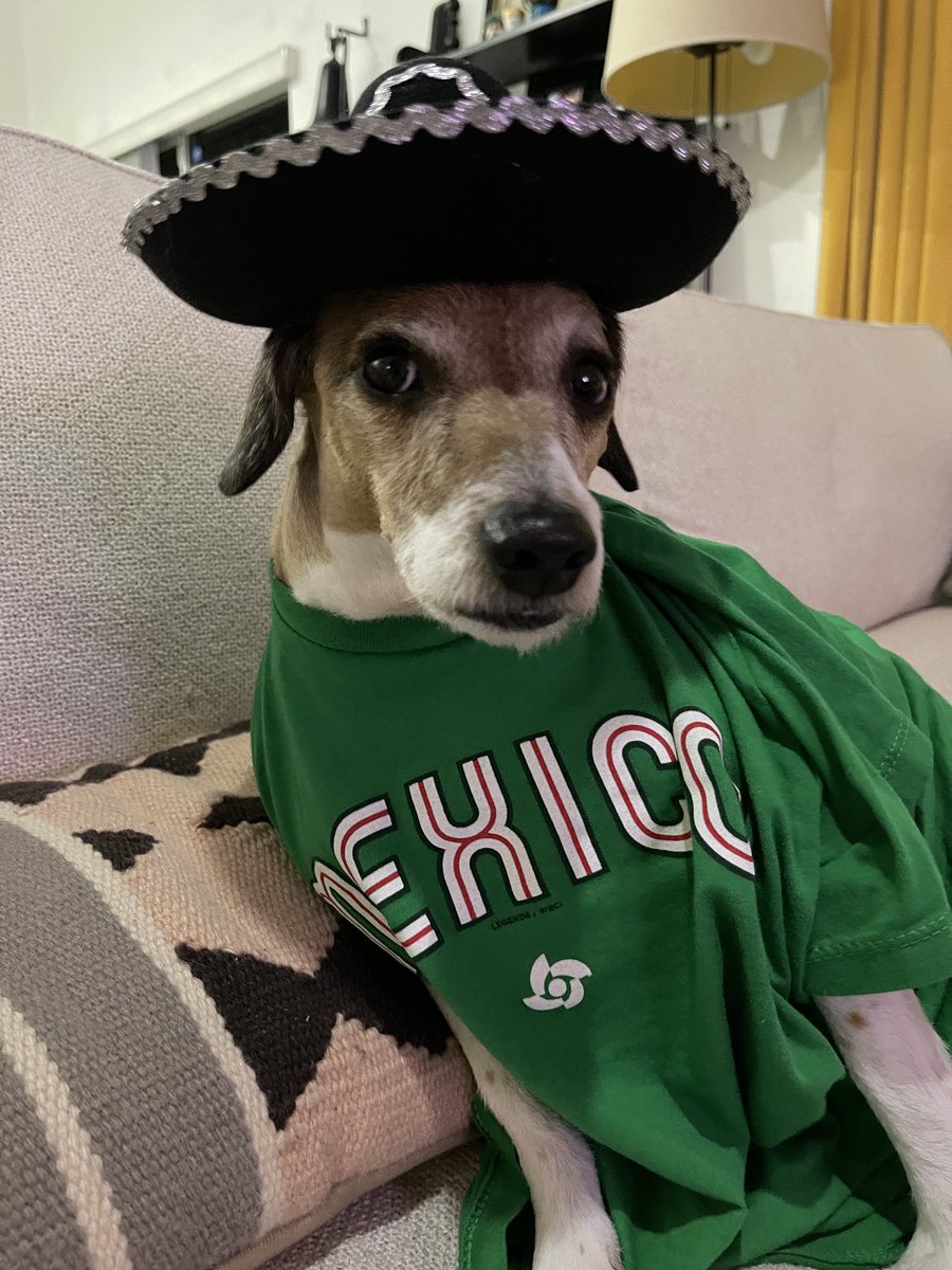 jon updike tweet media