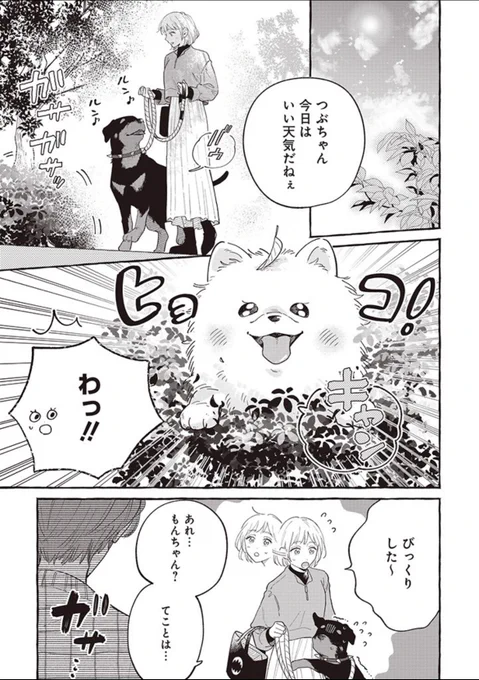 『正反対なわたしたち』第12話

昨日pixivコミックにて更新されました!

門十郎を連れていたのは聖貴ではなく…!?
いつもの2組+1人の全員集合わちゃわちゃ回です🕺
#正反対なわたしたち 

https://t.co/QCF2kcVWFB 