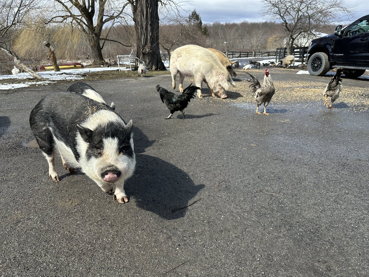 m_crouton's tweet image. Busted bracket have you down? #MarchMadness #bracketbusters