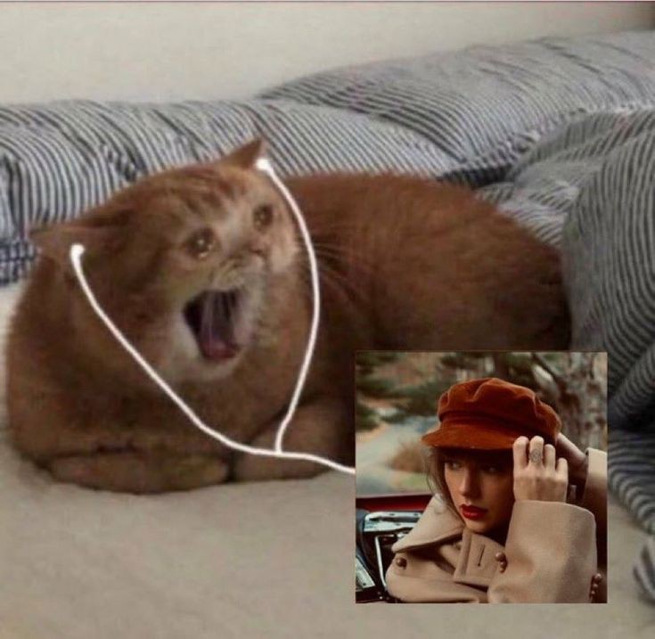 Mi situación actual en una sola imagen #TheErasTourTS