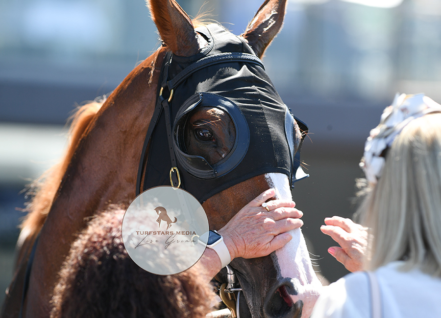Little miss white socks kept going today !
Well done GIN MARTINI 🍸(Rip Van Winkle x Tanqueray) on her win in the Group 3 BISLEY WORKWEAR EPONA STAKES (1900 METRES) !
