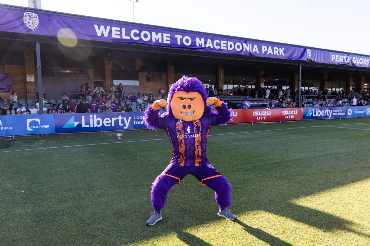 Perth Glory FC tweet media