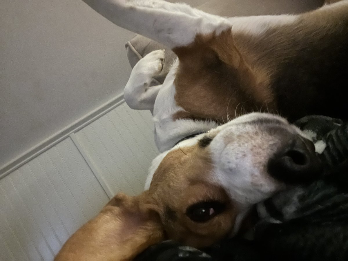 Hiya fwends!!! Whatzzup???